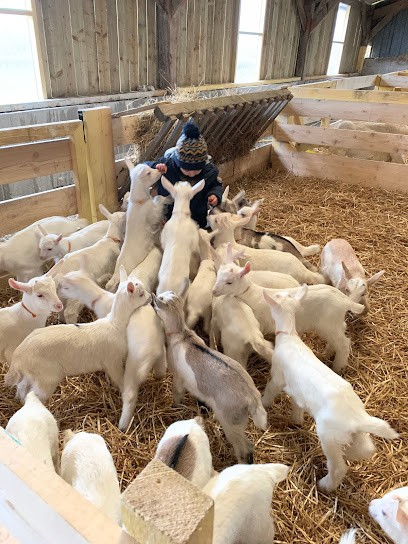 Chèvrerie la Petite Caulette, Fabricant de Fromages à Petit-Caux