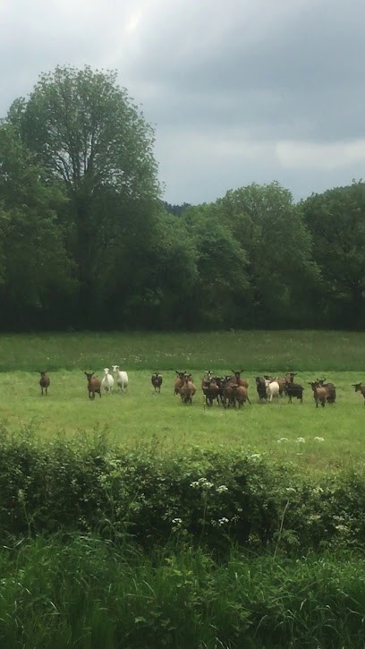 GAEC Du Prés Lavergne, Fabricant de Fromages à Cisternes-la-Forêt