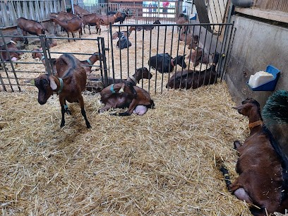 Chèvrerie de la Pierre à Laya, Fabricant de Fromages à Arâches-la-Frasse