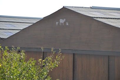 SCEA LE BREBIS DU BERRY, Fabricant de Fromages à Saulzais-le-Potier