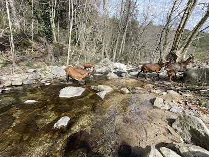 La Chèvrerie Du Prémiget Fromagerie à Lasalle