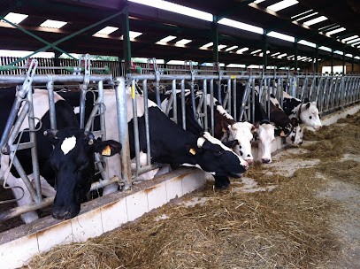 Fromagerie Durand, Fabricant de Fromages à Camembert