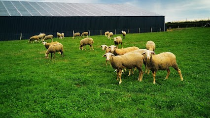 LA FERME DE PAULINE, Fromagerie à Neuvy-le-Barrois