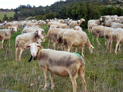 Le Fédou - Fromagerie De Hyelzas, Fabricant de Fromages à Hures-la-Parade