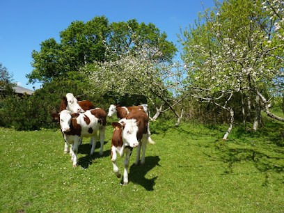 Fromagerie De Brengoulou, Fromagerie à Saint-Vougay