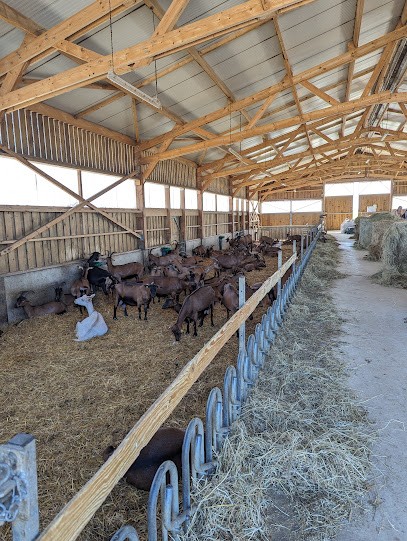 La Cabane Des Biquettes, Fabricant de Fromages à Dompierre-sur-Mer
