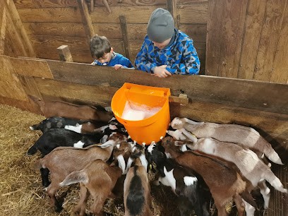 la chèvrerie du Pré Redon, Fabricant de Fromages à Saint-Pierre-Colamine