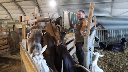 Les Chèvres De Monsieur Julien, Fabricant de Fromages à Francilly-Selency