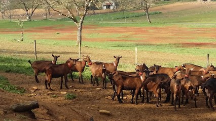 BIQUETTES DE BRAULEN, Fabricant de Fromages à Calviac-en-Périgord