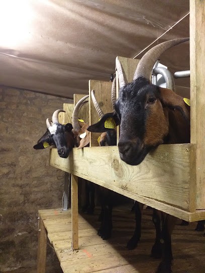Chevrerie La Louisette, Fabricant de Fromages à Chaulieu
