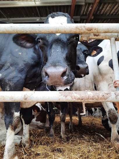 Ferme Du Sozéa, Fromagerie à Bressieux