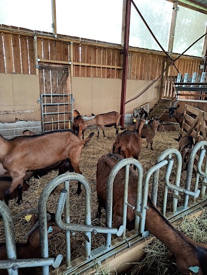 Chèvrerie de l'Arbrosserie, Fabricant de Fromages à Menetou-Salon