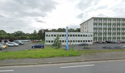 Cheese Ingredients - Groupe Savencia, Fabricant de Fromages à Condé-sur-Vire