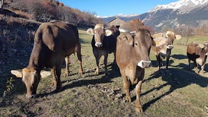 FERME DE PRALONG, Fabricant de Fromages à Puy-Saint-Pierre