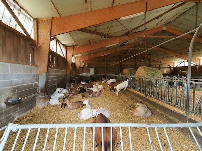 Farm Of Cabinette EARL, Fabricant de Fromages à Veuzain-sur-Loire