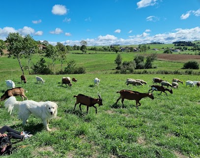 Ferme De La Chèvre Fleurie, Fromagerie à Saint-Pal-de-Chalencon