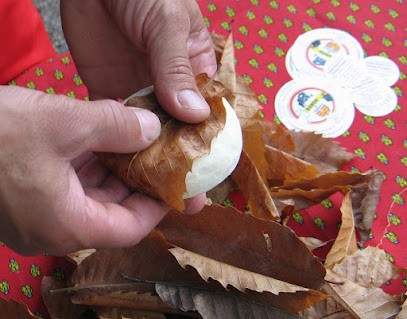Société Fromagère De Provence, Fabricant de Fromages à Banon