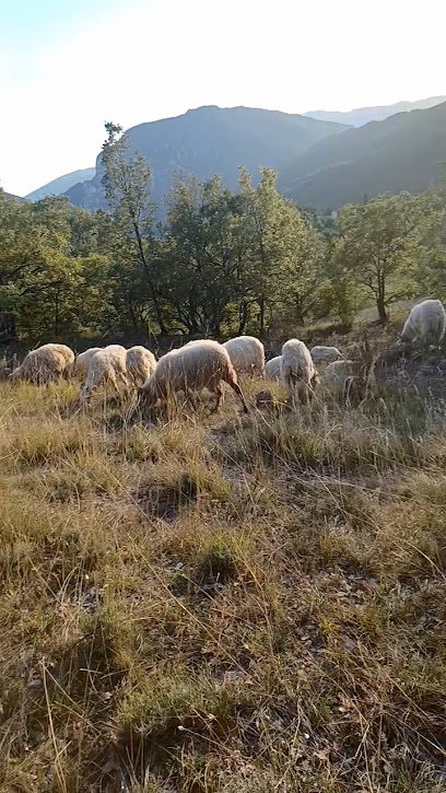 Ferme Alpuy Fromagerie à Entrepierres