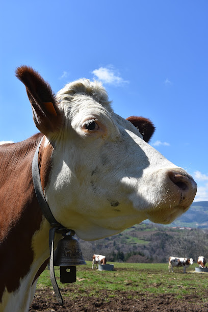 La Ferme Du Chant Des Cloches, Fromagerie à Burdignes