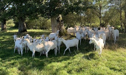 Chèvrerie la chèvre bleue, Fromagerie à Rânes