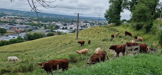 Sarl Aurlait, Fromagerie à Aurillac