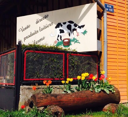 Ferme Alips - Fromagerie fermière - Vente directe de produits laitiers à la ferme - Gaec du Gué, Fromagerie à Allichamps