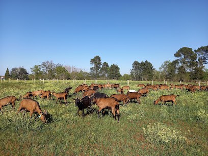FROMAGERIE DU ROY vente sur commande, Fabricant de Fromages à Landiras