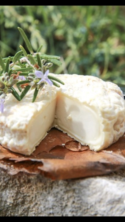 GAEC La Ferme Du P'tit Noé, Fromagerie à Simiane-la-Rotonde