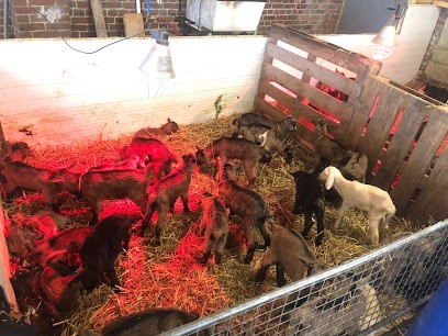 GAEC La Ferme Des Preutins, Fabricant de Fromages à Landrecies