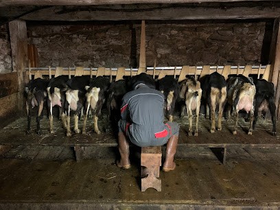 Ferme Des Combettes, Fabricant de Fromages à Beaufort