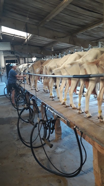Chèvrerie des monts du matin, Fromagerie à Rochefort-Samson