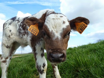 SARL Fromagerie Perot, Fromagerie à Neuvy-sur-Loire