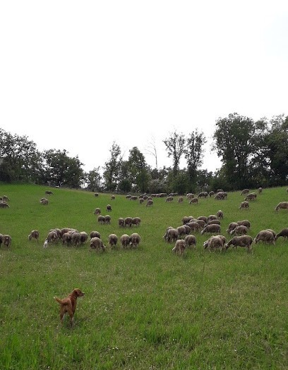 SCEA des Thermes, Fabricant de Fromages à Pavie
