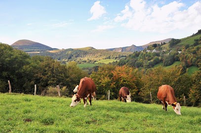 Ferme Des Planchettes, Fabricant de Fromages à Orcival