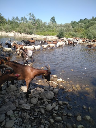 Fromages Loulia, Fabricant de Fromages à Chandolas