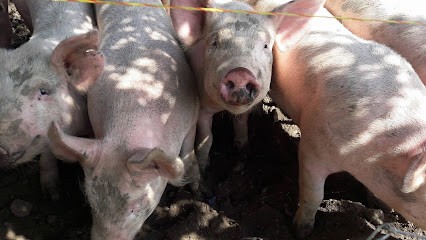 Fromagerie Du Roule, Fabricant de Fromages à Colombier-le-Vieux