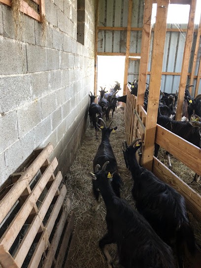 Ferme D Ca'briolait, Fromagerie à Serres-Gaston
