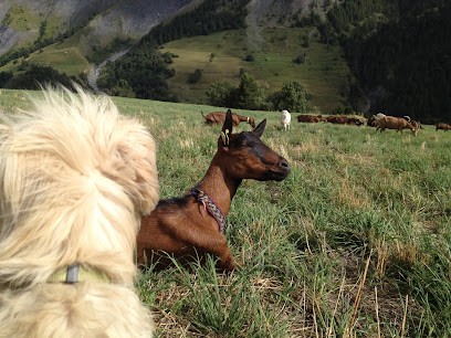 La Ferme Des Molières, Fabricant de Fromages à La Grave