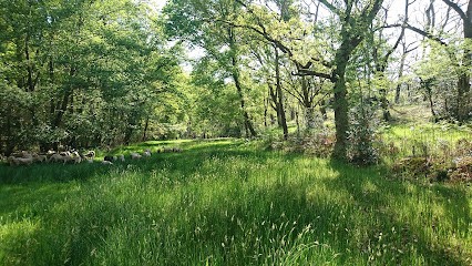 La Bergerie De Maillas, Fabricant de Fromages à Maillas