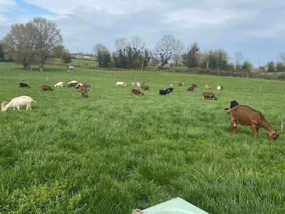 La Ferme O Douceurs Caprines, Fabricant de Fromages à Mantenay-Montlin