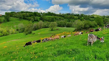 GAEC VALLEE DU BURANDOU, Fabricant de Fromages à La Tour-d'Auvergne