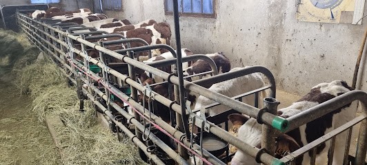 Michelin Fabrice, Fromagerie à Saint-Point-Lac