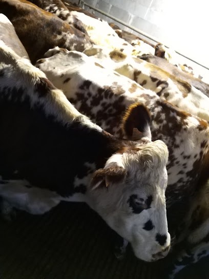 Ferme De La Mondière, Fromagerie à Orbec