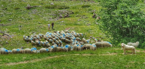 Gaec Souturou Ferme Arrateig, Fabricant de Fromages à Asasp-Arros