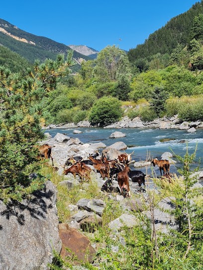 Fromagerie, Fromagerie à Saint-Étienne-de-Tinée