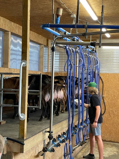 Chèvrerie Le Maguette, Fromagerie à Quend