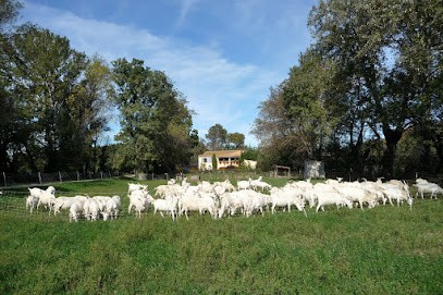 GAEC La Fromagerie Des Alpilles, Fabricant de Fromages à Saint-Rémy-de-Provence