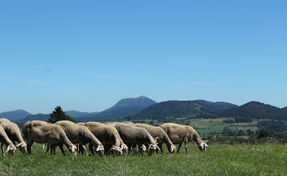 Ferme Vialette - Fromage de brebis fermier, Fabricant de Fromages à Aurières