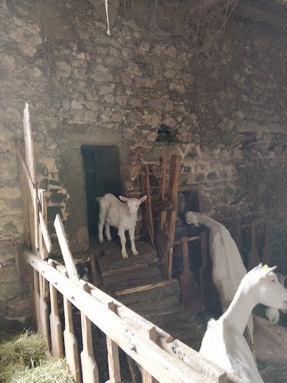 Raynaud Michel, Fabricant de Fromages à Claveisolles