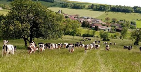 Ferme des Terres Froides (bio), Fromagerie à Nançois-le-Grand